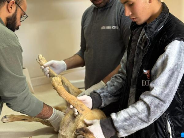 Tamara (24)