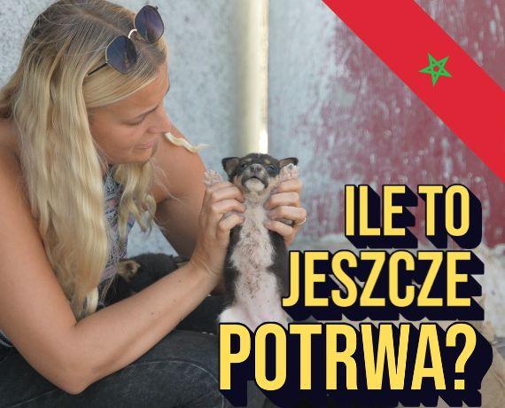 2. Misja Maroko - Reportaż Centaurusa