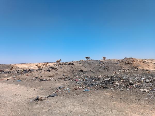 Jordania-9