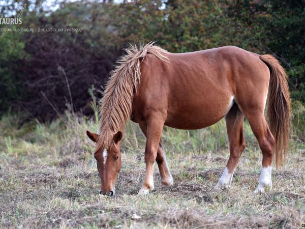 czy-tez-tesknicie387