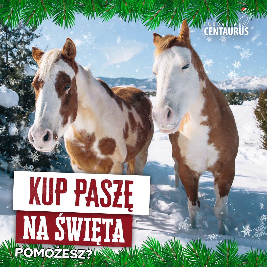 KUP-PASZE-NA-ŚWIĘTA.png